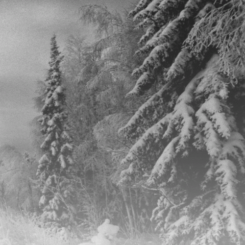 Vintlechkeit : Svart Sorgseremoni...